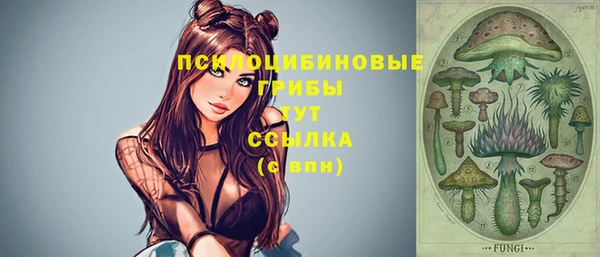 марки nbome Абаза